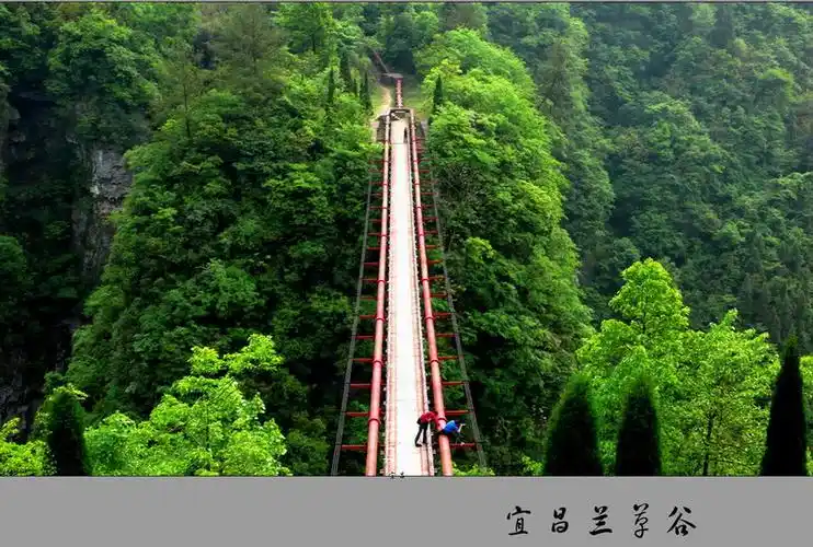 [原创]游宜昌兰草谷