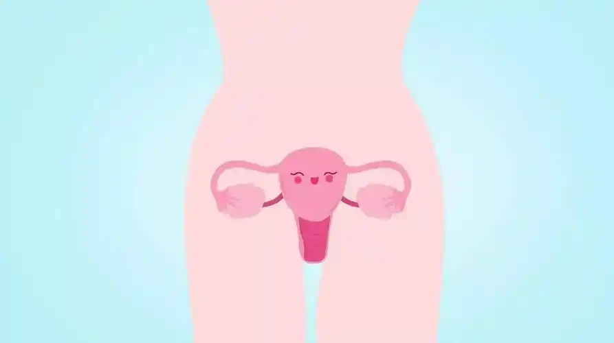 23岁女子外阴癌前病变!她的"坏习惯"为所有人敲响警钟!