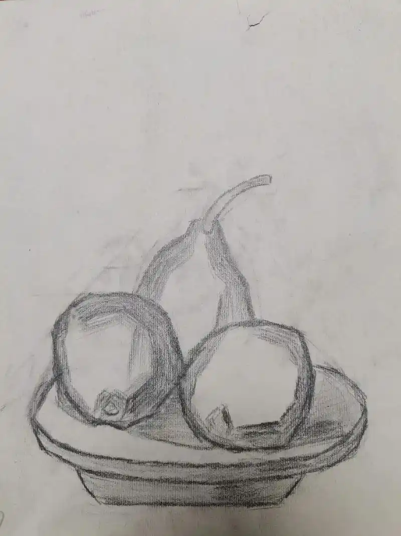 儿子画的素描静物
