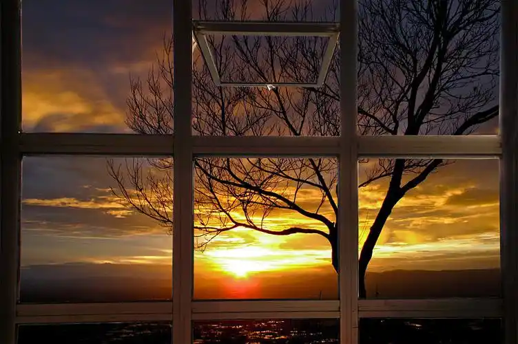 窗户,太阳,光照,枝条,树_高清图片_全景视觉