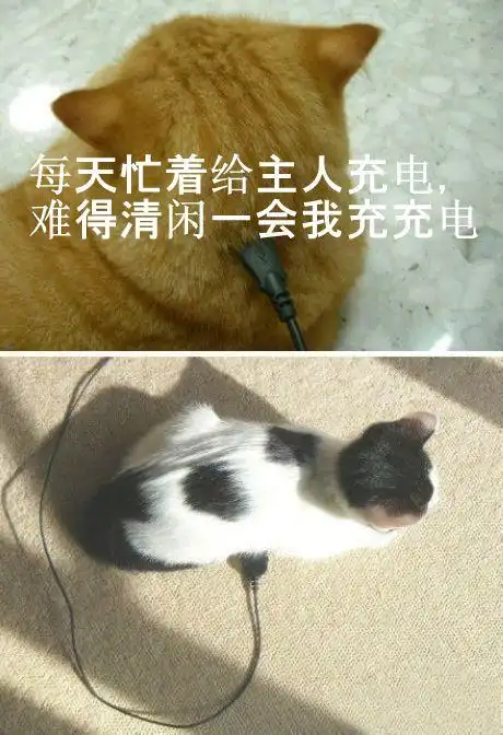 给自己也充电