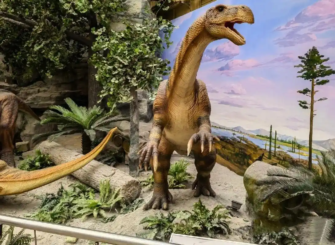 走进"自然",博览知识-北京自然博物馆