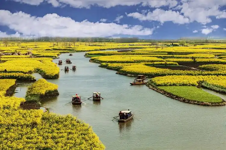 清明五一旅行指南|这16个地方,几乎浓缩了江南所有的好春光