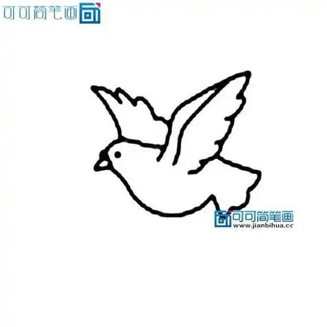 鸽子简笔画小动物