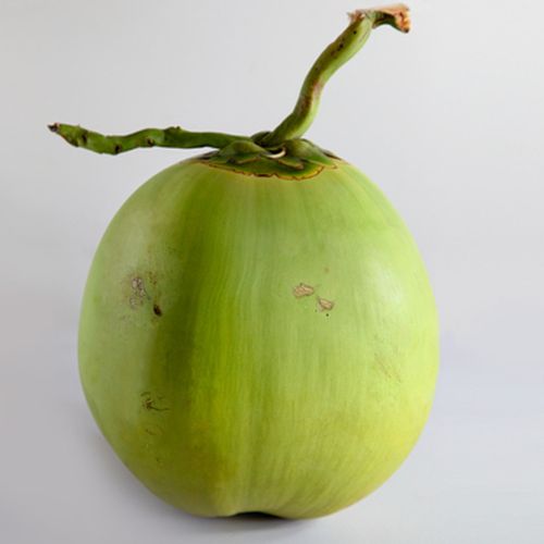 博多客青椰子3个装海南新鲜椰子带皮大椰青嫩现摘