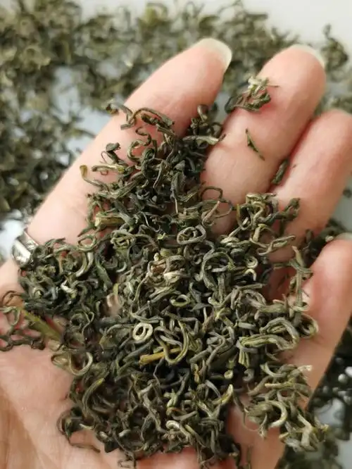 松阳银猴松阳香茶