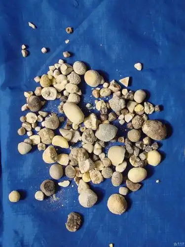 泌尿系结石的预防