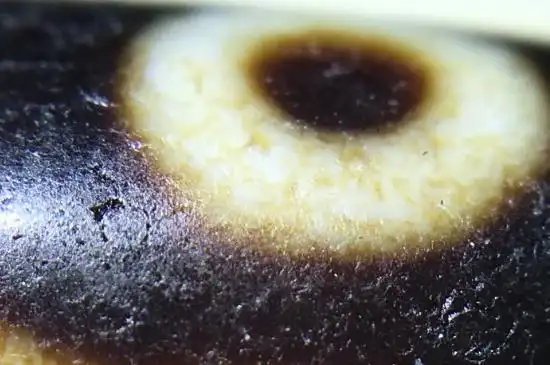 老天珠最明显特征