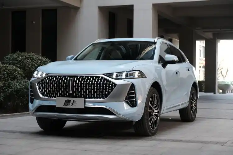 wey摩卡实拍图,刚拍完热乎的 一共拍到两个颜色……_高清图集_新浪网