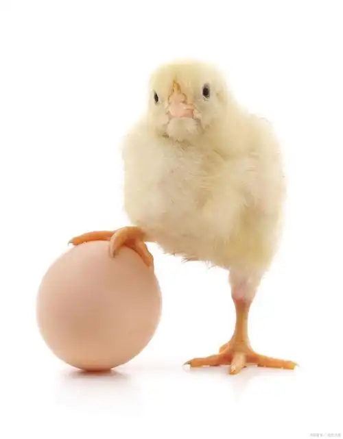 复利,让你的钱多到不敢想象