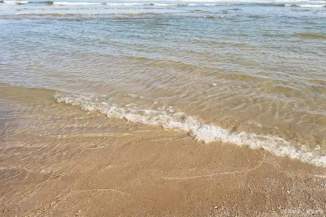 为什么会发生潮涨潮落的现象?退潮后的海水都去了哪里?