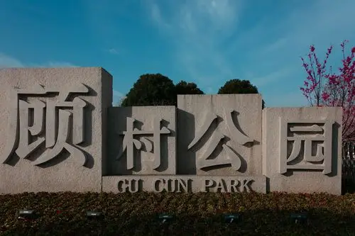 顾村公园早樱热烈盛开正当时 - 美篇