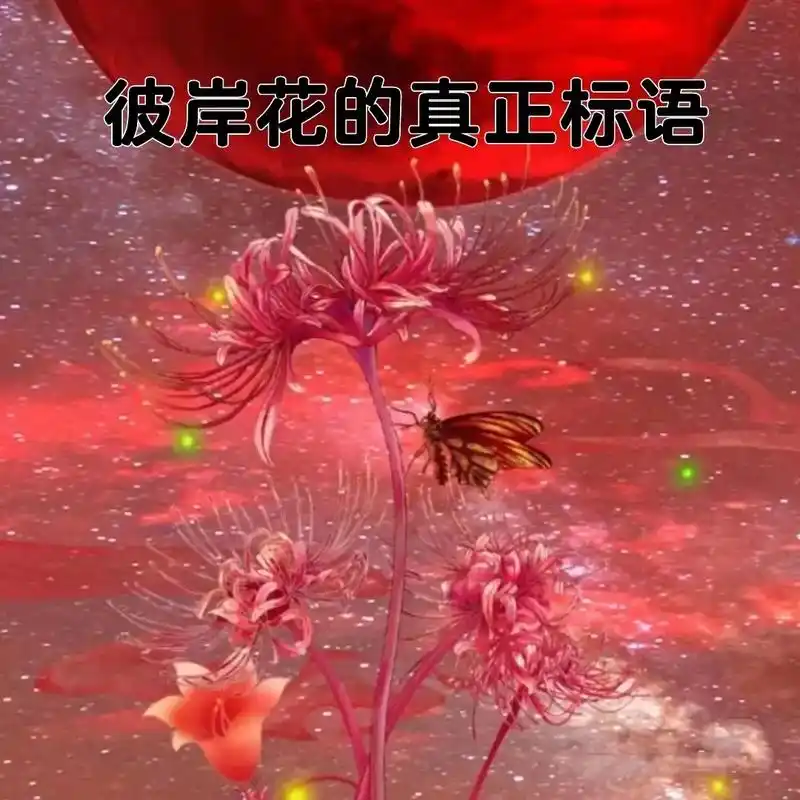 世界十大悲伤花语之彼岸花:花开一千年,花落一千年,花叶不相逢 - 抖音