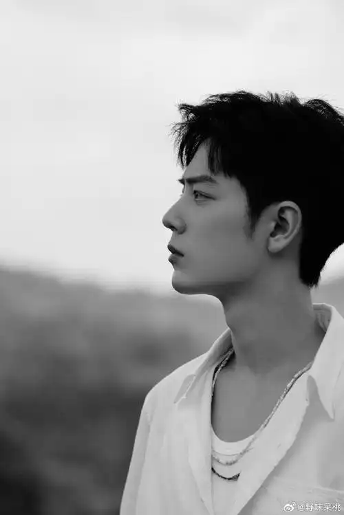 x玖少年团肖战daytoy