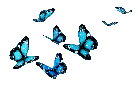 450_280gif 动态图 动图