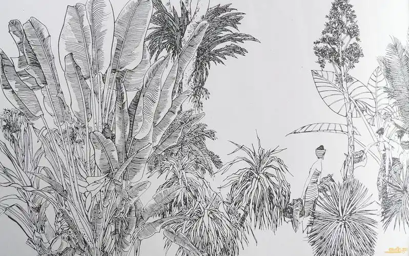 丁绍光版纳白描写生作品集