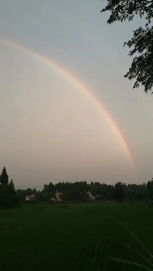 雨过天晴的彩虹