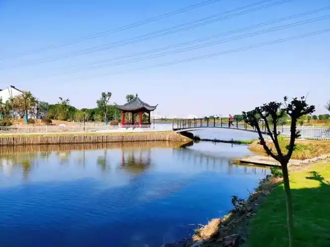 无锡东北塘:扎实开展"口袋公园"项目