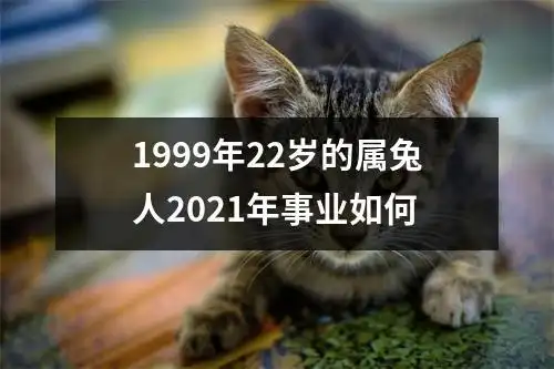 1999年22岁的属兔人2021年事业如何