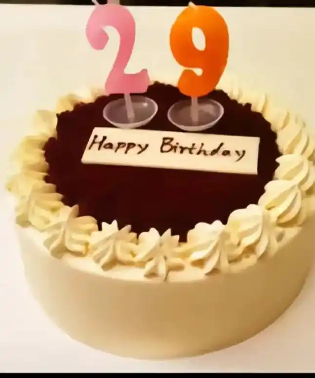 94人生进度:二十九岁  901529岁生日快乐  7815 0158