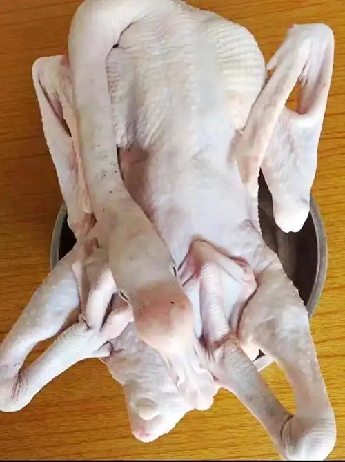 鹅肉马冈鹅农家散养生态老活新鲜草鹅土鹅现杀野餐篮