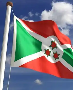 rwandan opposition names col patrick karegeyas assailant