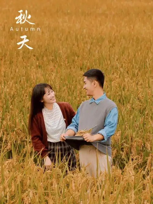 一望无际的稻田里拍婚纱照仿佛是经历了一场93周杰伦mv里爱情的浪漫