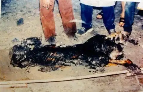 vvvvvvvvvvvvvvvvvvvvvvvvvvv