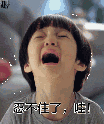 这只荷兰猪这么任性,主人都管不了