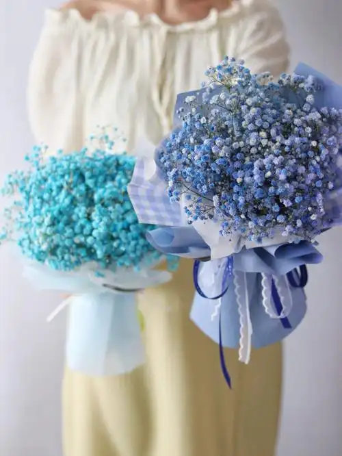 五颜六色的满天星韩式小花束干花