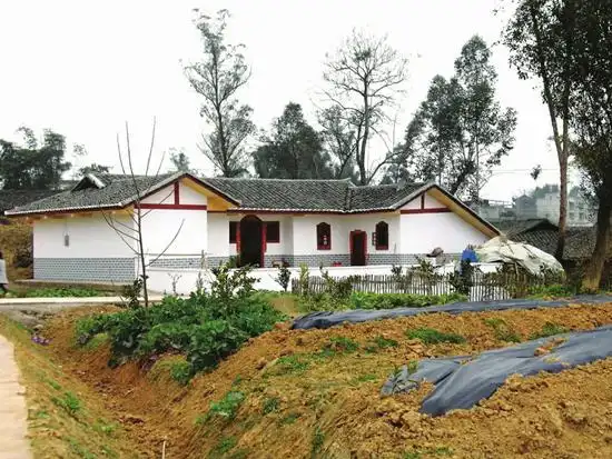 西拱桥村村民改造一新的小青瓦房