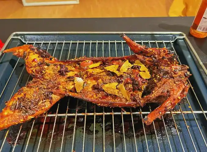 德国日常食谱记录之麻辣烤全兔