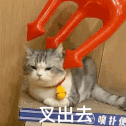 王思聪与孙一宁聊天用的表情包合集