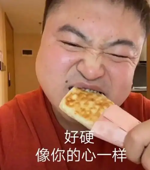 能不能给我点龙丽表情包啊?