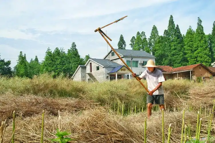 爷爷的晚年生活勤劳