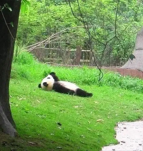 午后躺在草坪上晒太阳.最好了