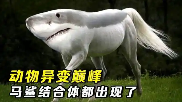 全球十大变异盘点蜘蛛羊横空出世马鲨都出现了