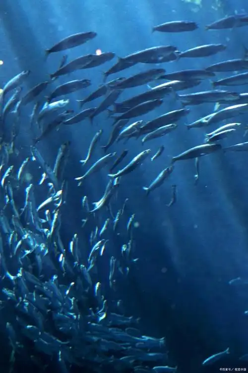 640_960竖版 竖屏