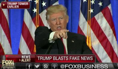 majority of americans against government restricting fake news