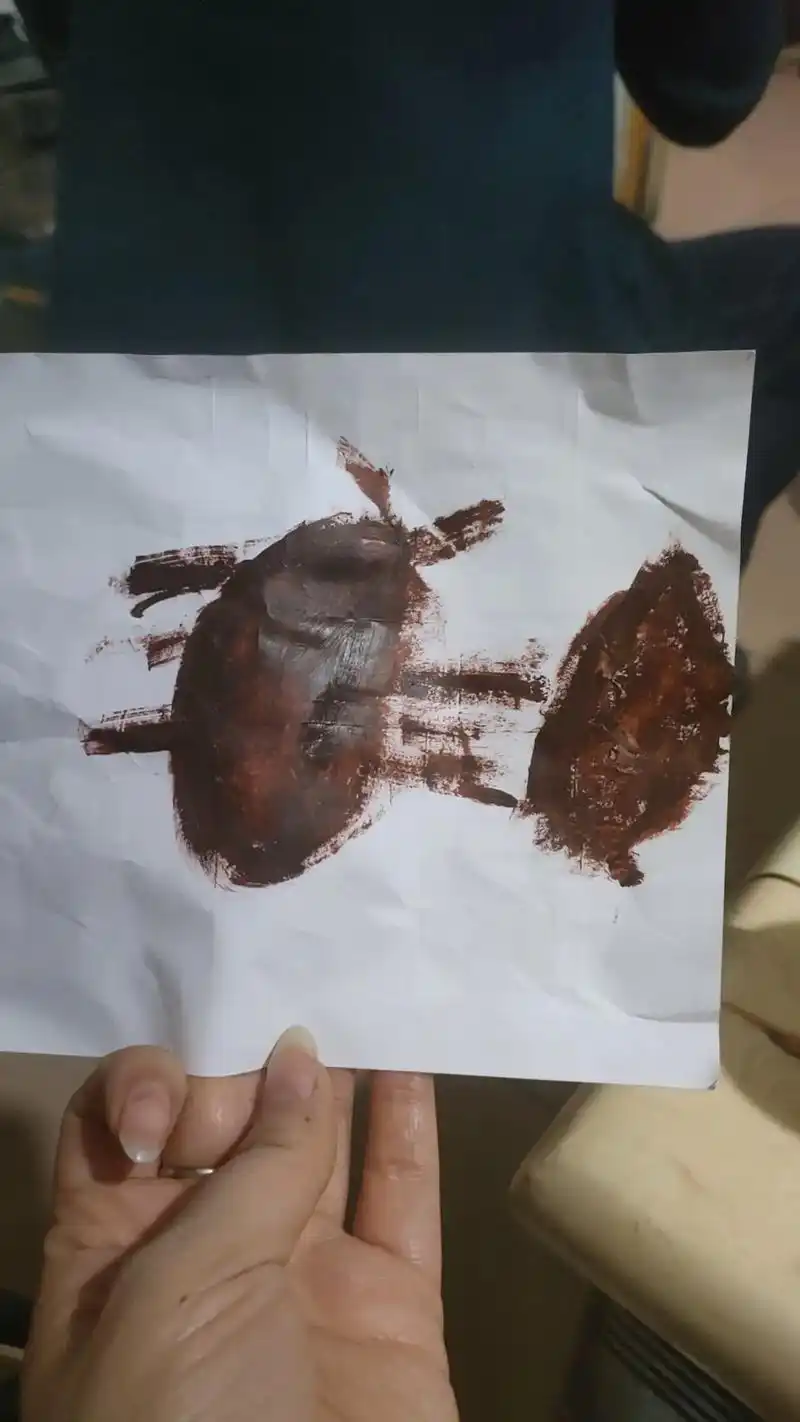 创意画:)屎壳郎滚屎球, - 抖音