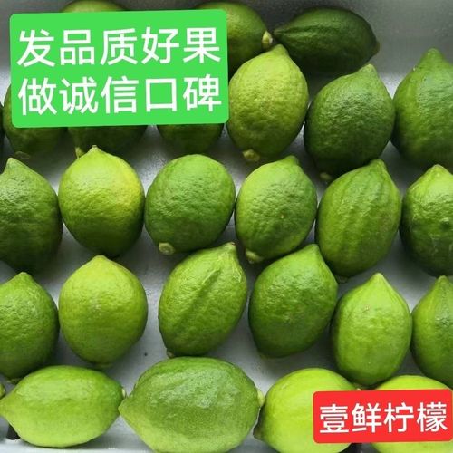 青柠檬新鲜无籽青柠檬薄皮鲜果靓果青柠檬奶茶店专用绿色柠檬新鲜