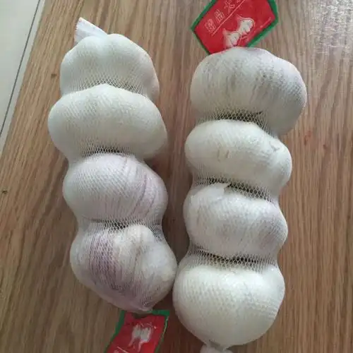 【中华特色】徐州馆 zlm 保鲜大蒜 大蒜头500g袋装(250g*2) 徐州邳州