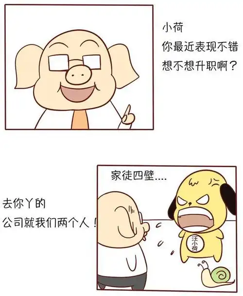 进公司落差太大,走人还是熬着?这5类公司一定不能去!