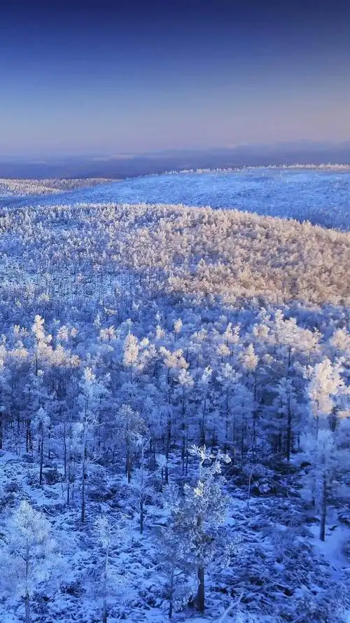 大兴安岭与雪的化学反应,便是这犹如童话般的冰雪世界