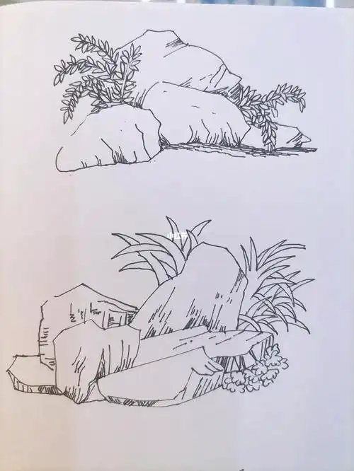 钢笔画 无线稿临摹小场景 石头植物小组合