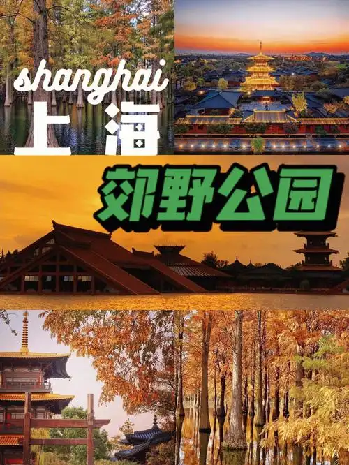 上海公园郊野公园集合60青野广富林松南