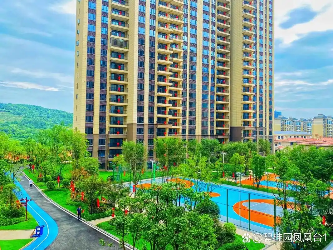 6月15日郴州碧桂园江山一品如期交付,不负期待[庆祝][庆祝][庆祝]