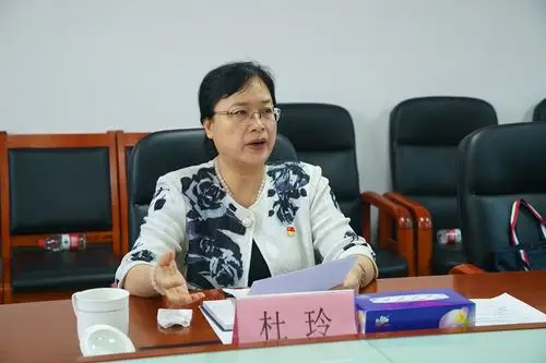 市委常委,市委统战部长杜玲到龙华区召开信访包案专题会议