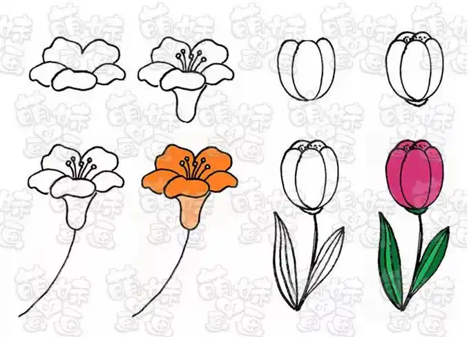 春天主题素材简笔画大全(花朵,动物,植物,昆虫等)