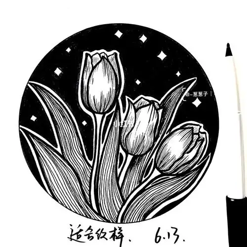 适合纹样黑白线描练习112